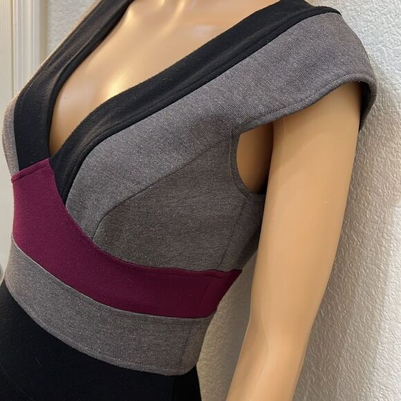 Maggy London Dress Sz 4 v Neck Cap Sleeve Black Gray Burgundy Silver Zipper - Picture 4 of 9